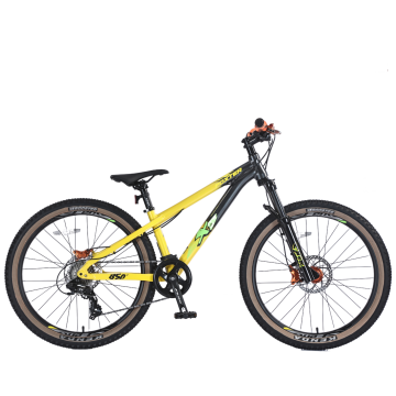 24 Sert Kuyruk Serbest Stil Şehir Bisikleti