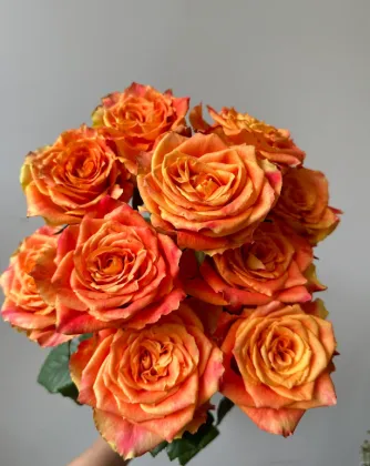 Orange Single-Headed Ode to Joy Rose Arrangement