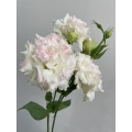 ফার্ম কাট ফ্লাওয়ার আইসক্রিম গোলাপী Lisianthus বিবাহ