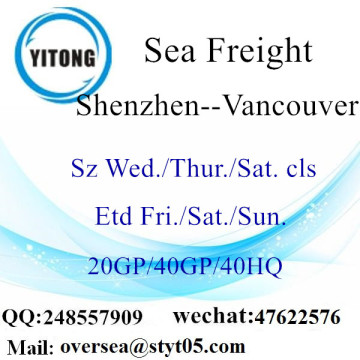 Shenzhen Port Sea Freight Verzending naar Vancouver