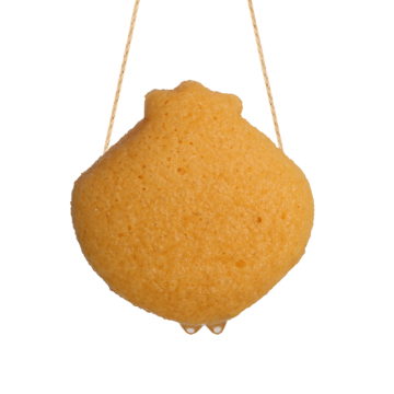 Scallop-shaped natural deep cleaning Konjac sponge
