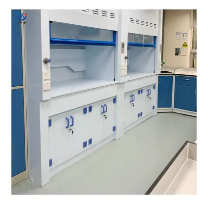 Portable Laboratory Fume Hood and Biosafety Cabinet for School Lab Safety