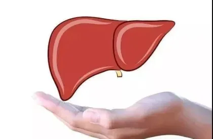 Now silymarin Nature milk thistle products for liver