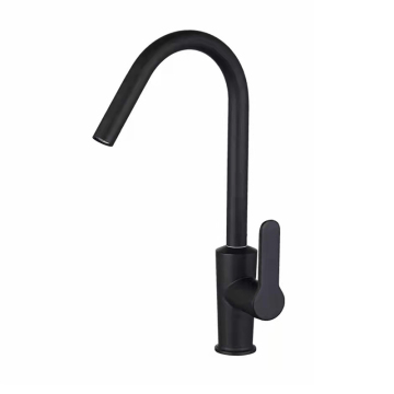 Black Stainless Steel Polished Kitchen Faucet for Sink Drinking Water