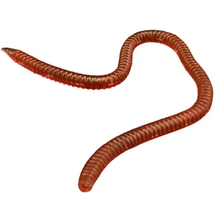 Wholesale Soft Bait Worm Set 8cm-10cm PET Material Fishing Gear