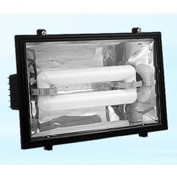 induction advertising lamp(flood light) ground mounted flood light