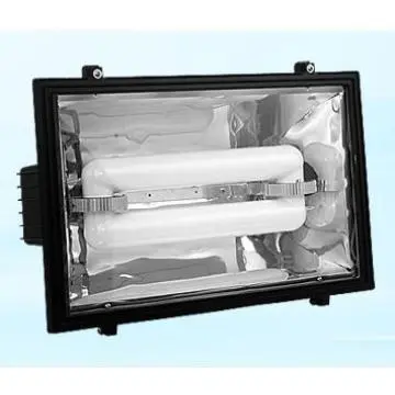 induction advertising lamp(flood light) ground mounted flood light