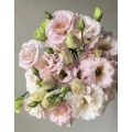 তাজা কাটা ফুল হালকা গোলাপী Lisianthus বিবাহের সজ্জা