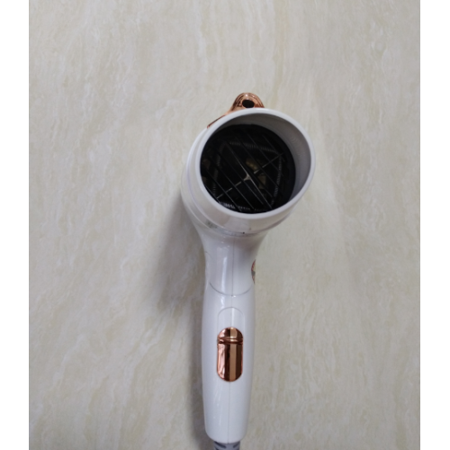 Excellent quality 700-900W Blow Hair Dryer Salon
