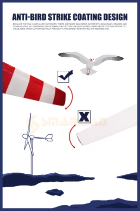 Off Grid Solar wind Power 30000W Solar System