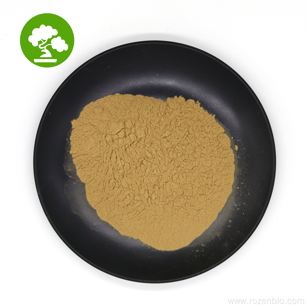 100% Natural Witch Hazel Extract Powder