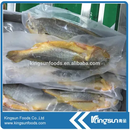 Frozen Yellow Croker