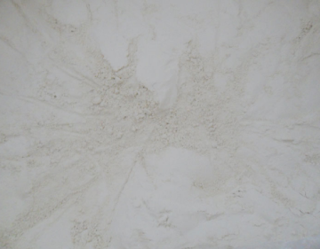 Dehydrated spicy horseradish powder 80-100 mesh