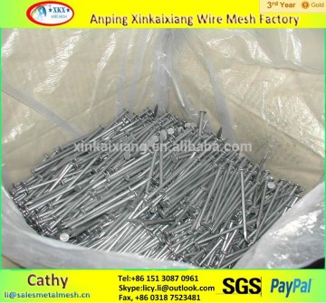 China Common Nail Iron Nail Manufacturer Cheap Wire Nails Price