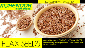 linseeds / flax seeds