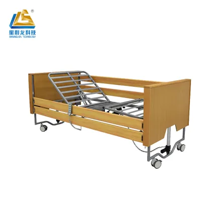 Five function electric bed