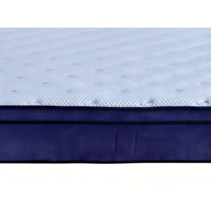 SF-2503 30cm Cool Silk Plush Bed Mattress