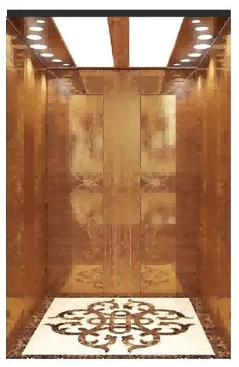Small Machine Room Cargo Elevator
