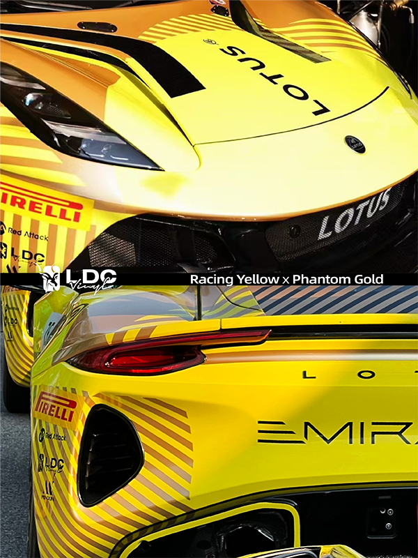 LOTUS10