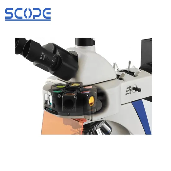 40X-1000X Digital Infinity Plan EPI Fluorescence Compound Biological Microscope BK6000-FL