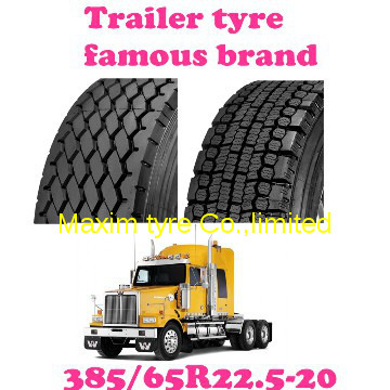 Truck Tyre Trailer Tire (385/65R22.5-20)