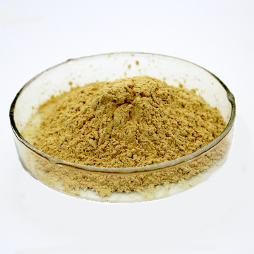 fermented Soybean Extract soy isoflavones supplements bulk