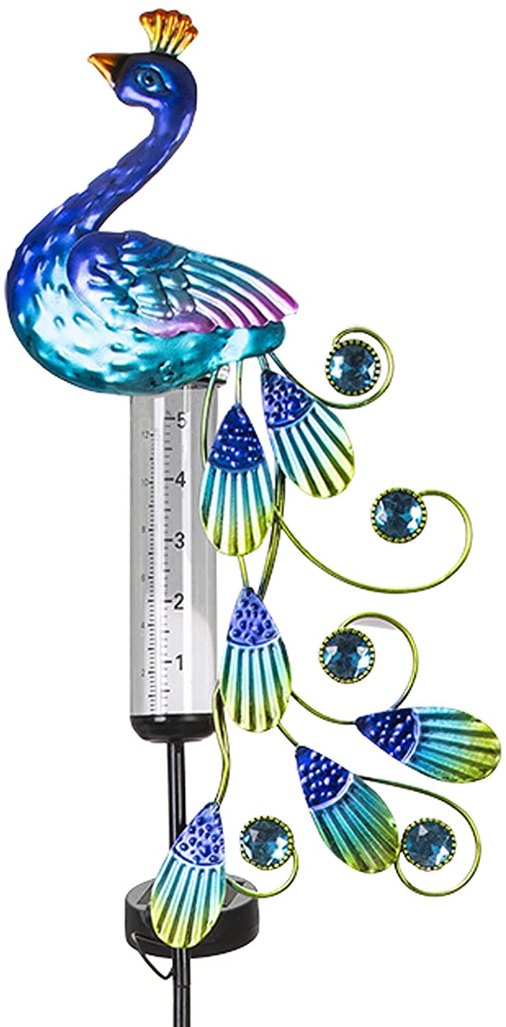 Peacock Rain Gauges con luces solares