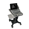 B W Ultrasound Machine Notebook Black and White Ultrasound Machine for Obstetrics Supplier