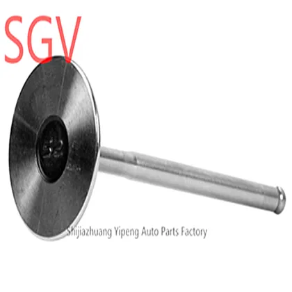 OEM Quality Intake and Exhaust Engine Valve for MWM FENT