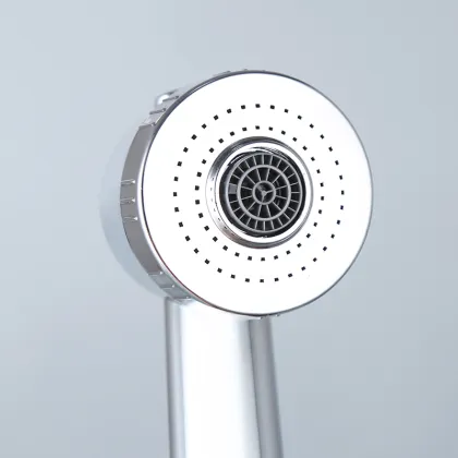 Double function shower head