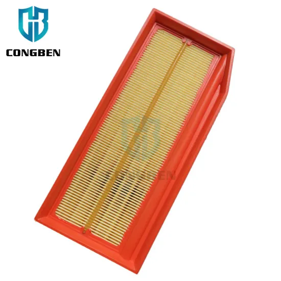 China Air Filter Manufacturer 16 54 605 09R 165460509r - Aire Filter for Renault Dacia Duster Logan