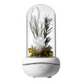 Smart Rose scent waterless air diffuser