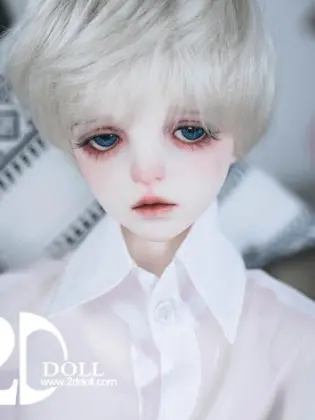 BJD Lupin 63cm Boy Ball Jointed Doll