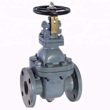 Cryogenic Gate Valve Neft Quraşdırma Qazma qurğusu avadanlıq