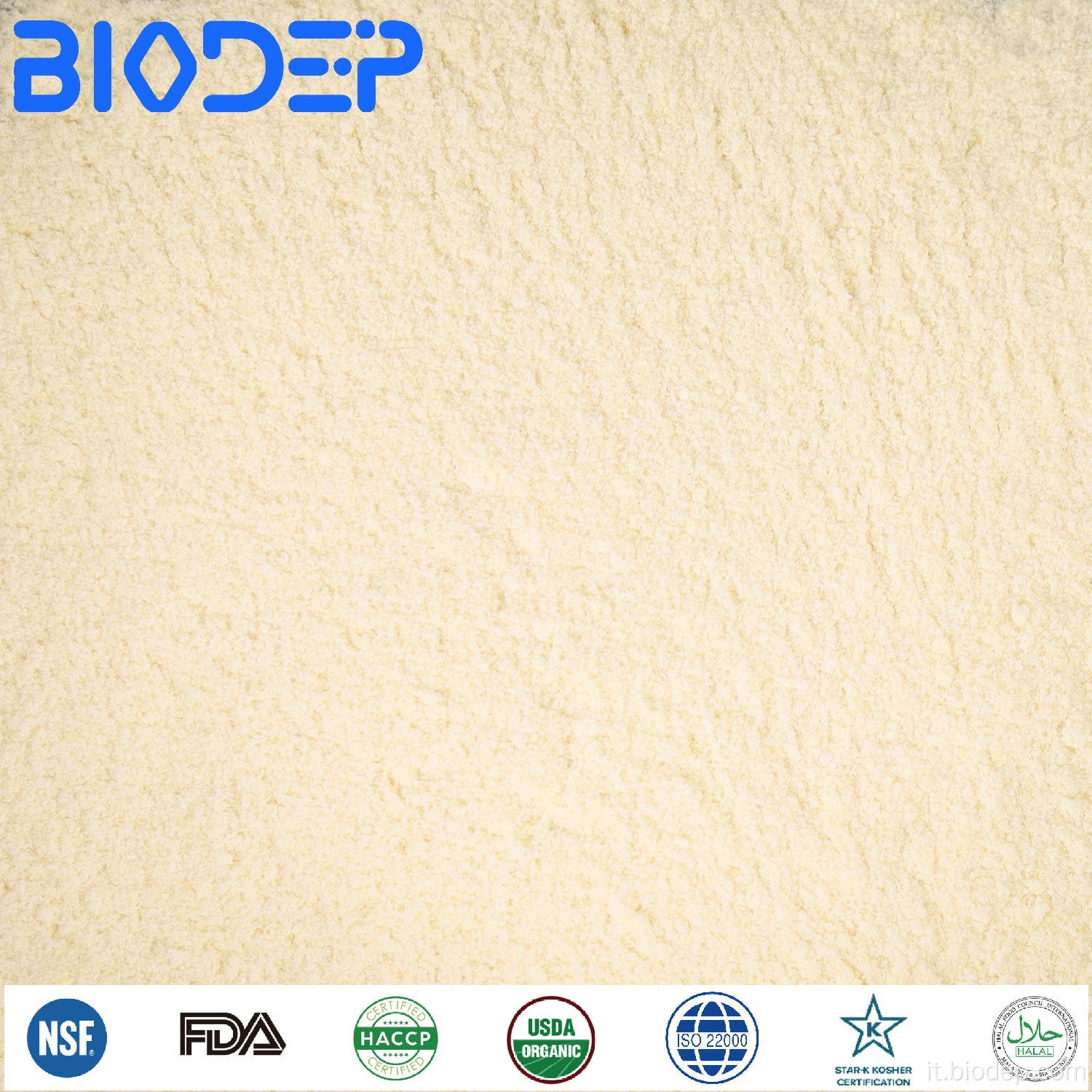 Potenziale bio-fertilizzante per il suolo e la pianta Azotobacter