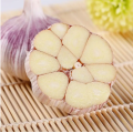 Fresh Normal Garlic Powder/Cloves/Products (Chinese)