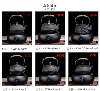 Stovetop Safe Japanese Tetsubin Cast Iron Teapot with Stainless Steel Infuser