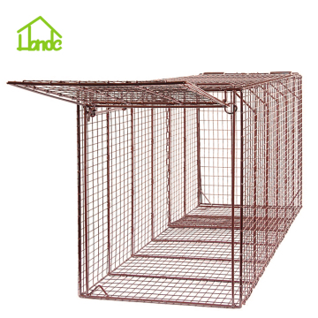 Coyote Live Cage Trap
