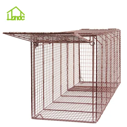 Live Coyote Cage Trap