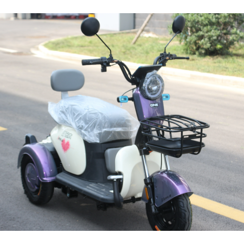 Adult 3 wheel electric trike