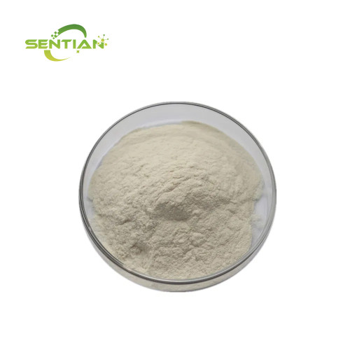 Thorne Bacillus Coagulans Probiotic Supplement