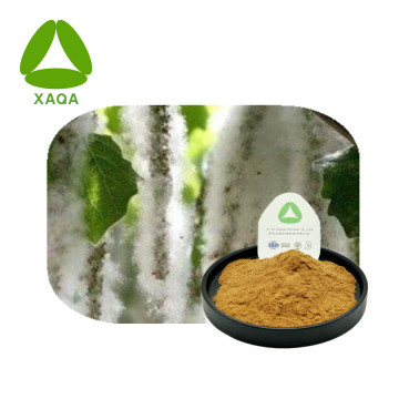 Poplar Flower Extract Aspen Flower 10: 1 poeder