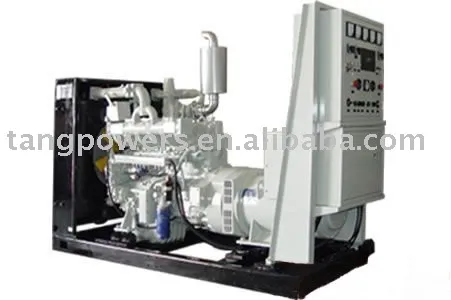 Sludge gas gas generator set
