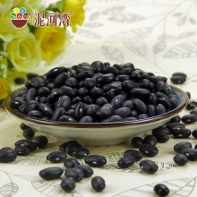 Small Black Kidney Bean/Black Bean/Black Turtle Beans