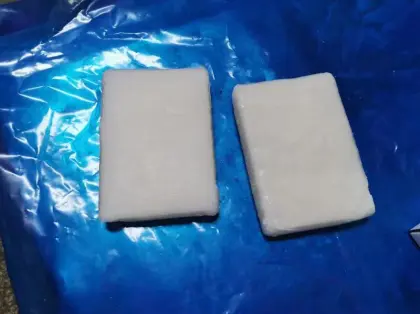 Gutted Large Squid Fillet Squid Seafood