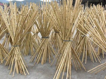 dan bamboo poles