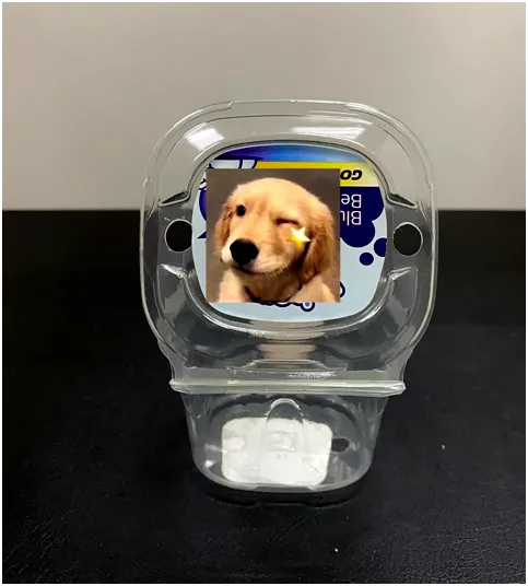 Hot Sale Plastic Mini Blueberries Packaging