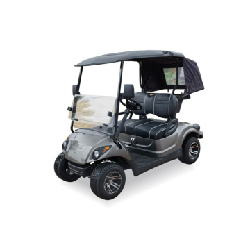 Eğlence Amaçlı Kompakt İki Kişilik Golf Aracı