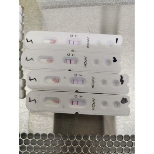 Coronavirus COVID-19 IgG/IgM ชุดทดสอบอย่างรวดเร็ว