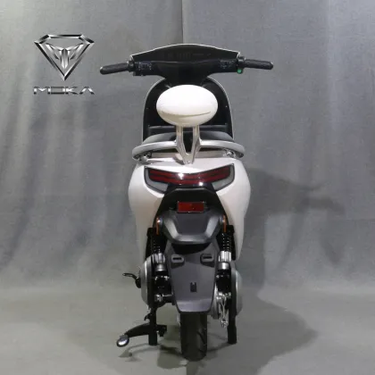 electric motorcycle with disc brakes electric scooter